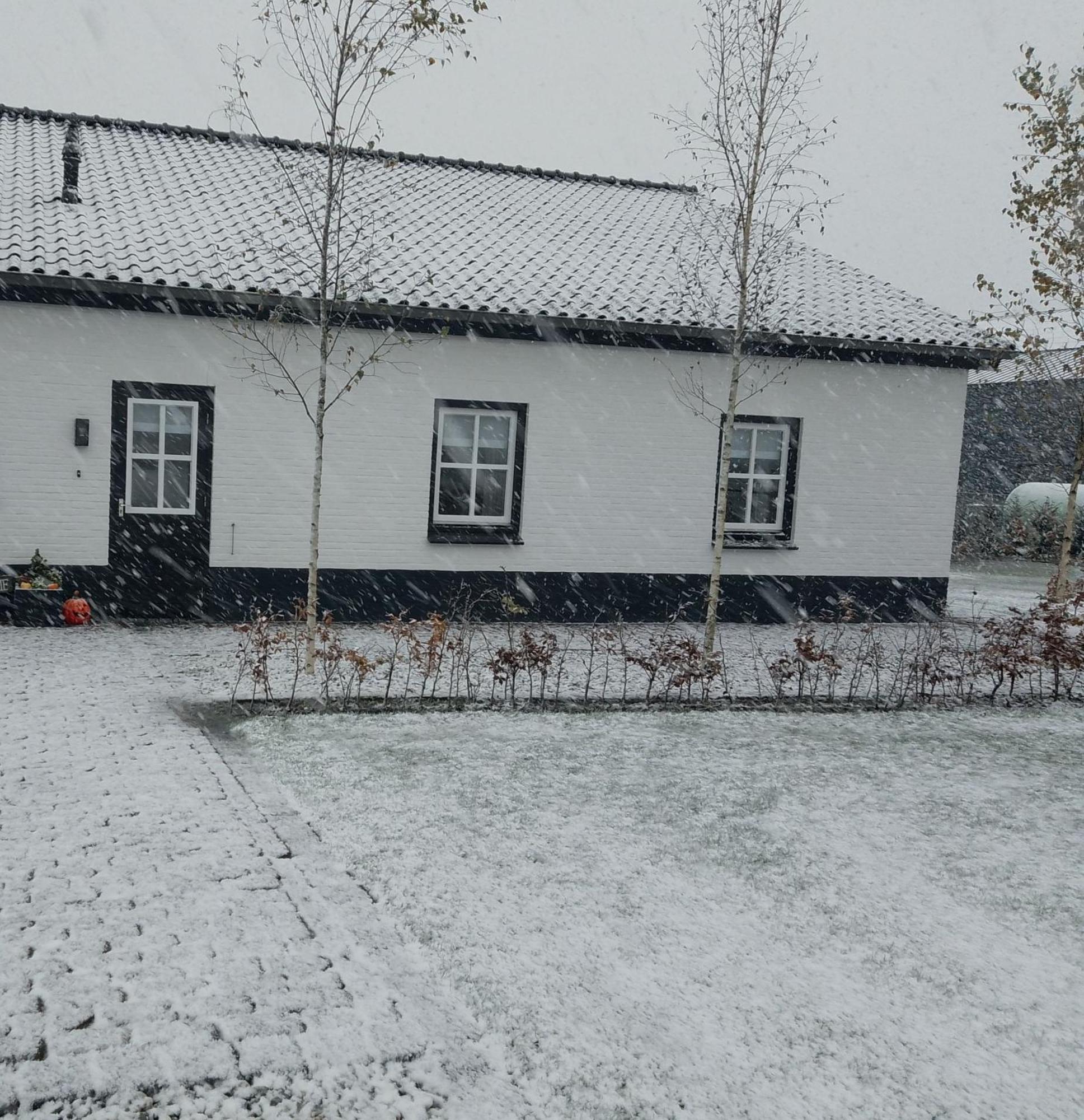 Ut Witte Huisje Venhorst المظهر الخارجي الصورة
